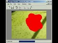 Image Mender