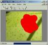 Image Mender
