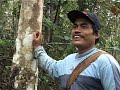 Suara dari Perkebunan Sawit