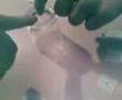 videos de weegi board agan