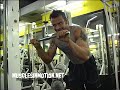 Helmut: Triceps Press