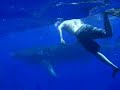 ADRENALINA FISHIING - WHALE SHARK