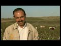 Falling demand for cotton in Turkey - 14 oct 08