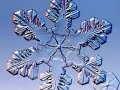 snow snow lyrics clip snow dash snow patrol snow snow lyrics clip snow dash snow patrol