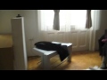 Apartment in Budapest