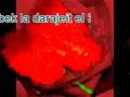 Samira Said - Aal-Eih HEDYE ELA MARTE NANCY BE7BEK