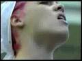 P-NK-Live-at-the-Bro