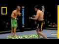 Masters of M.M.A. Video