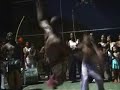 RODA CAPOEIRA MARCIAL BRESIL