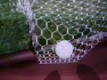 gol de Messi en el playstation