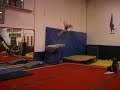 Reema Zakharia Universal Gymnastics Vault