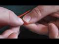 origami crane of Eric Joisel