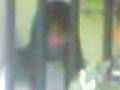 my big lookbout on sfogs