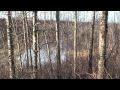 Exploding Beaver Dams