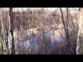 Exploding Beaver Dams