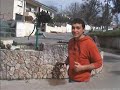 versos do henrique