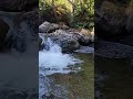 ツボケ沢⑪（岩手県宮古市） 2026.5.6