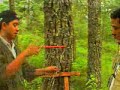 Spot TV ProArbol 22008 Spot TV ProArbol 22008