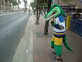 gatordance.avi gatordance.avi