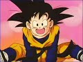 DBZ- Dan Dan Kokoro Hikareteku song.