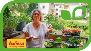 Urlaubsbewässerung Balkon: DIY-Tipps für Blumentöpfe und -kästen