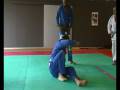 videos de SEMINARIO JIU JITSU MAURO SANTOS GB LUXEMBOURG PARTE 2°