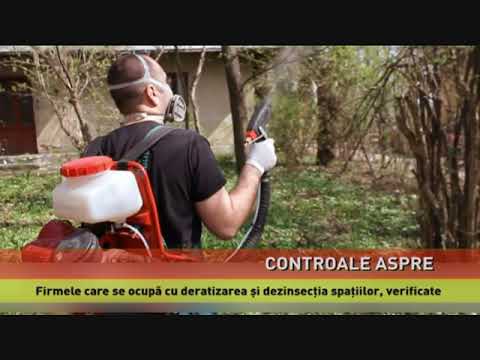 Au început controalele la firmele de deratizare și la distribuitorii de substanțe toxice