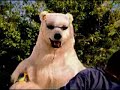 pedroso polar 4:&fmt=18 y ve la diferencia pedroso polar 4:&fmt=18 y ve la diferencia