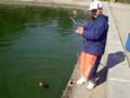 pacu quase fisgado no maeda