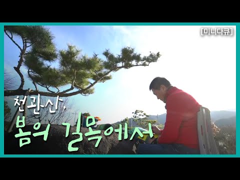 [미니다큐] 천관산, 봄의 길목에서