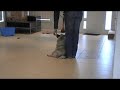 Jedi - 15 weeks - Heelwork