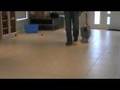 Jedi - 15 weeks - Heelwork