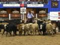 2009-NCHA-Derby-Open