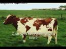 If you like funny and random pictures- this is the vid 4U If you like funny and random pictures- this is the vid 4U