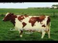 If you like funny and random pictures- this is the vid 4U