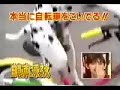 bicycle + Dog = ? bicycle + Dog = ?