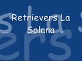 cachorros de labrador retriever  retrievers la solana