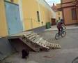 Bmx in Ljusdal