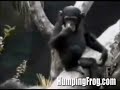 Afghani song - funny shows