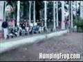 Afghani song - funny shows