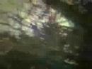 Ironlight River - Life Of Rooms