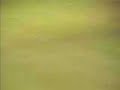 gol do tinga filmado por mim da superior. inter � o dono das am�ricas, � o campe�o das am�ricas !!!!!

d�-lhe colorado !!!!!!!!!!

o dvd completo est� na m�o, quem quiser entre em contato (n�o � transmiss�o da globo)