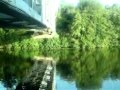 Тарзан и тарзанка
