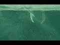 Ambient Music Ambient Music