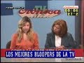 Cronica TV.. perro ladra y se pasea en medio del programa! Cronica TV.. perro ladra y se pasea en medio del programa!