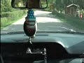 Ridin� in my chevy caprice