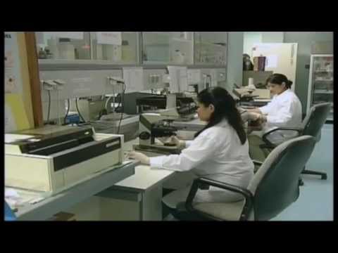 how to schedule haad exam