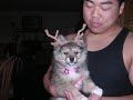 A tribute to Kyle Arakaki A tribute to Kyle Arakaki