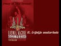 symphonica in rosso 2008 anthem by lionel richie and trijtje oosterhuis.

face in the crowd