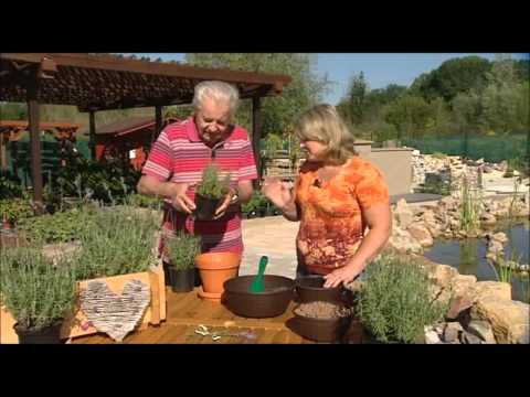 Prohlédnout video Prohlédnout video